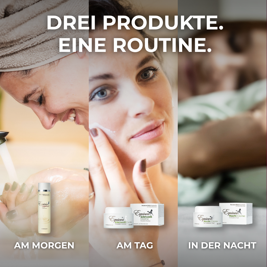 Frühlingspflege - Starterset